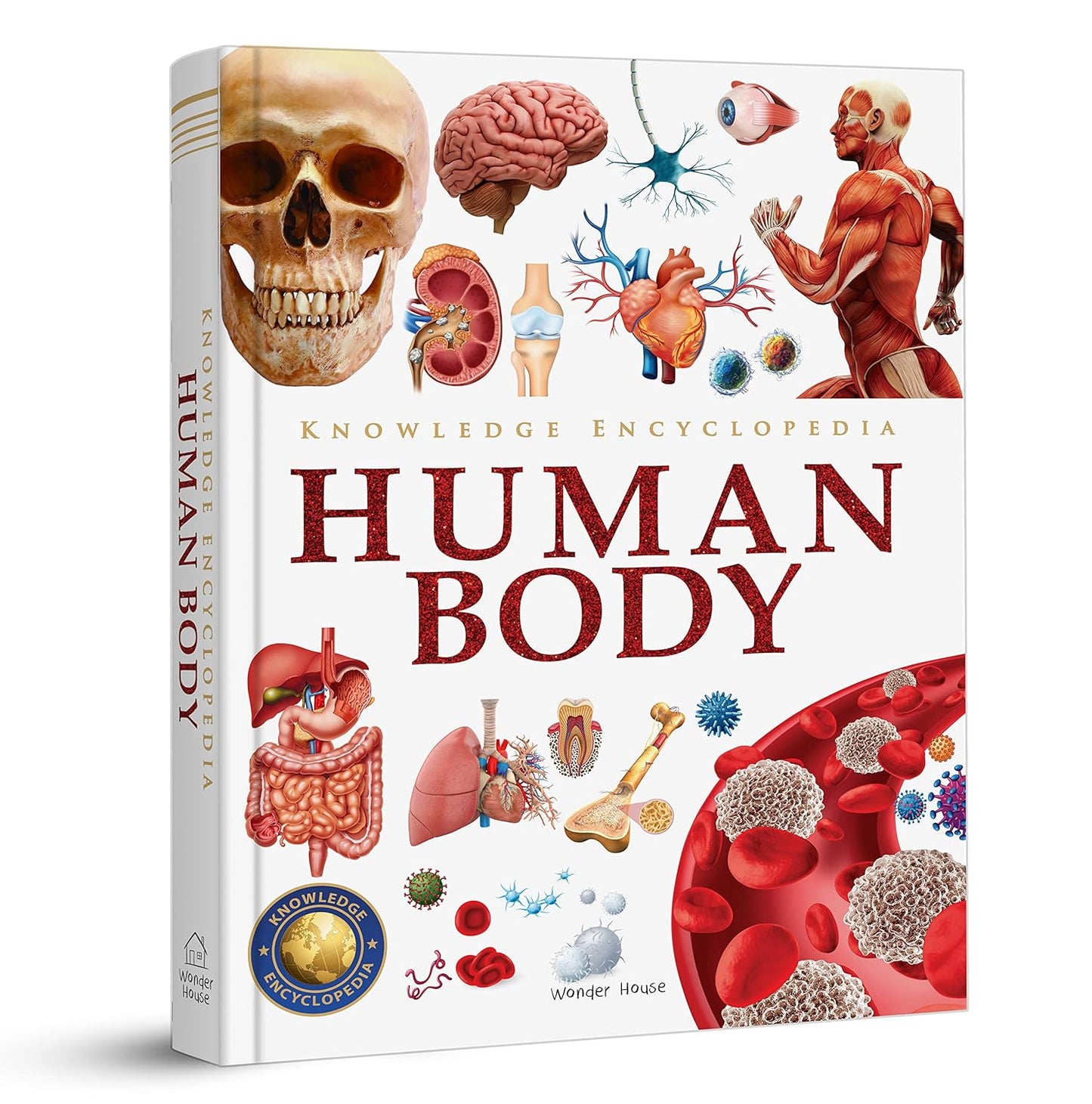 Knowledge Encyclopedia - Human Body Hardcover